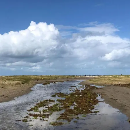 Holiday home In Near North Sea Beach, Cleaning Included Goedereede
