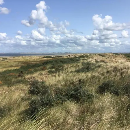 In Near North Sea Beach, Cleaning Included Holiday home Goedereede